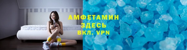 твердый Лагань