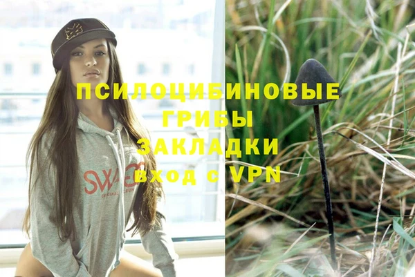 не бодяженный Красноперекопск