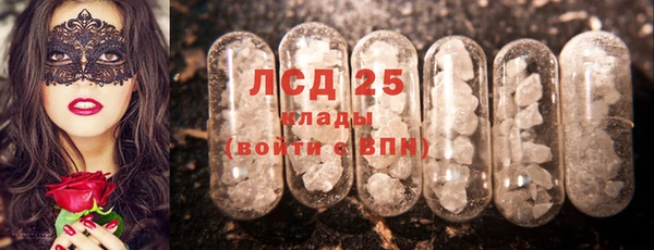 spice Краснослободск