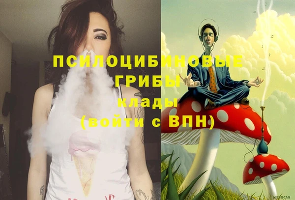 spice Краснослободск