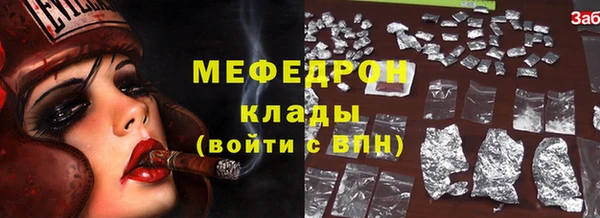 индика Кулебаки