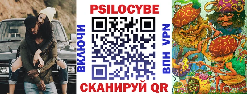 Купить закладки  Ахтубинск  Псилоцибиновые грибы Psilocybine cubensis 